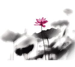 总投资20亿元！“中国•艾城东方艾谷”产业基地项目正式落户