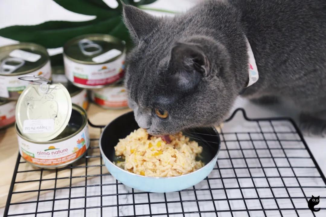 买贵的猫狗粮反而更省钱？