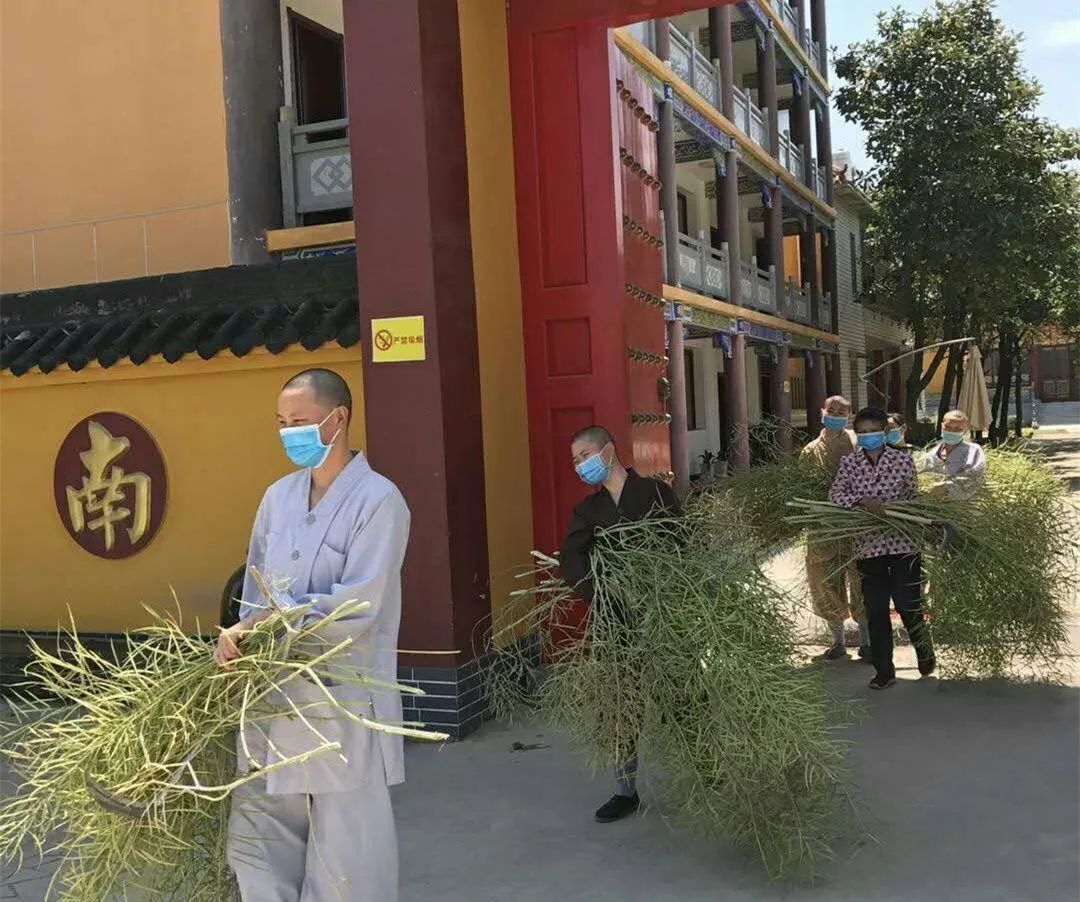 抢抓农时开展农业生产,农民纷纷抢抓春耕生产有利时机