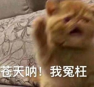 人紧张就想上厕所是什么原因,一考试就紧张想上厕所