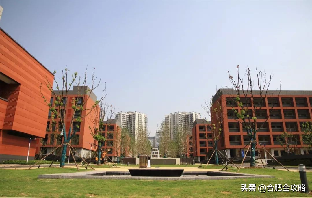 合肥市开学,合肥各校开学时间