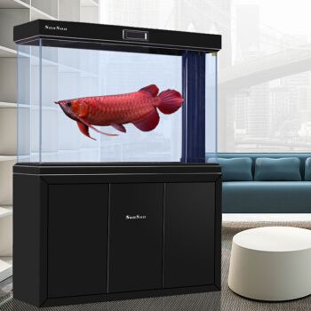 自己做鱼缸注意事项,家里做鱼缸需要注意什么