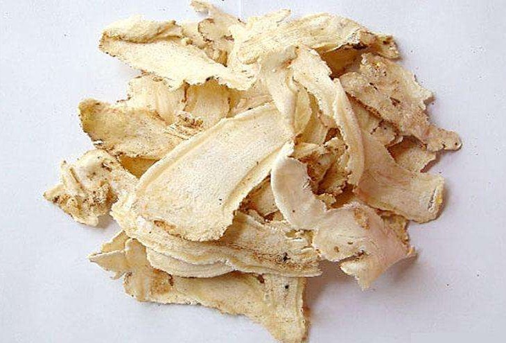 本草精荟的配方,《本草精荟》党参