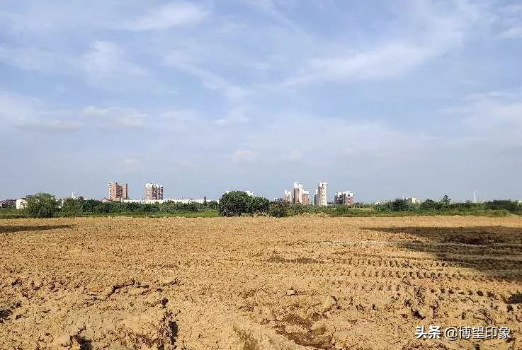 博望横博苑土地出让价格,博望法拍房最新信息