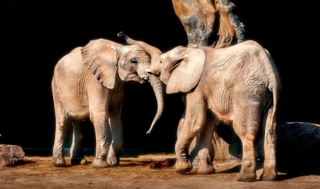 东莞游玩7大景点攻略图,去东莞必玩的十大景点