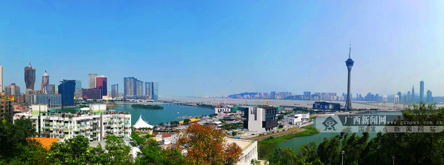 对接粤港澳大湾区纪实,粤港澳大湾区合作共赢