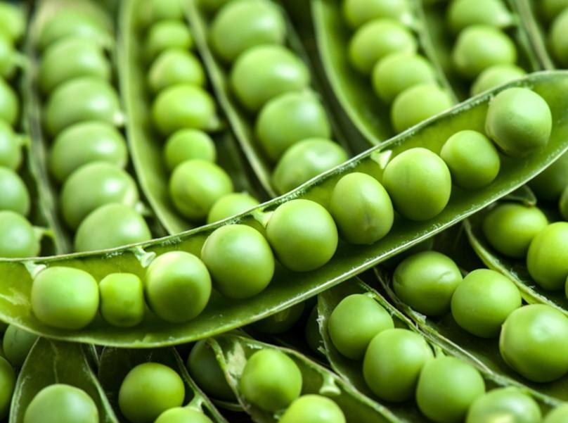 全球最大的植物肉生产商,植物蛋白肉龙头企业