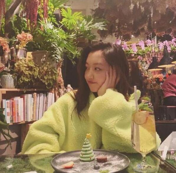 王菲案例分析,王菲李亚鹏著名事件