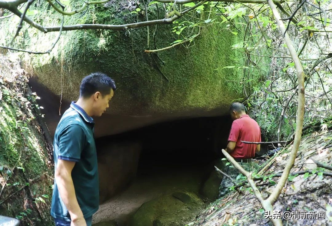 讲好秦都故事传承红色文化,清远秦皇山红色革命教育基地