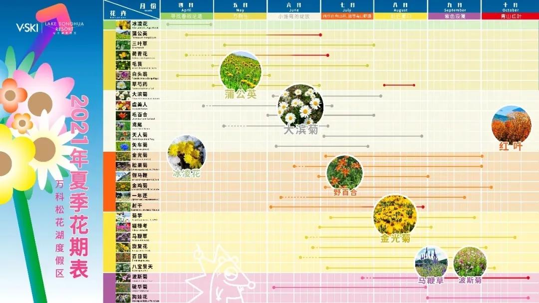 松花湖万科滑雪场季卡和全季卡,2022-2023松花湖季卡怎么买