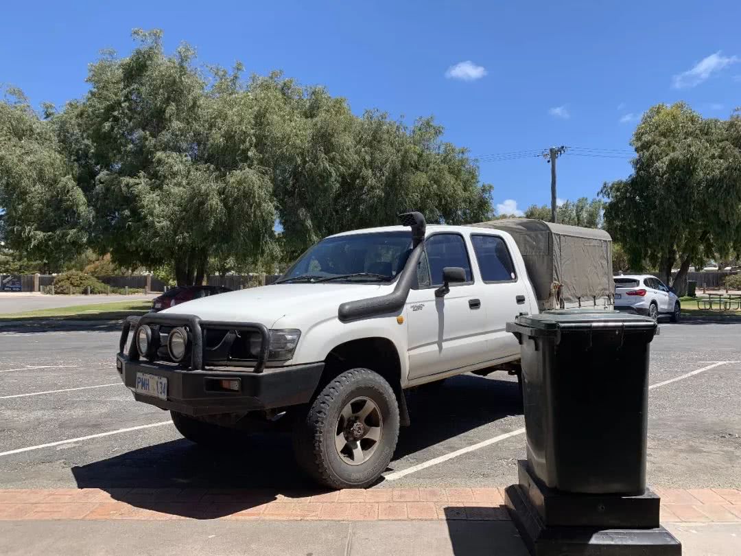 这地方是男人天堂,我们的大宝马也怕了