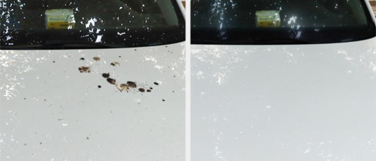 汽车天窗玻璃有污渍怎么去除,如何去除汽车玻璃顽固污渍