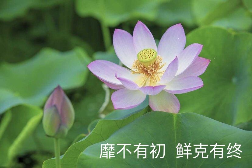 心中的神明,心中的神明作文