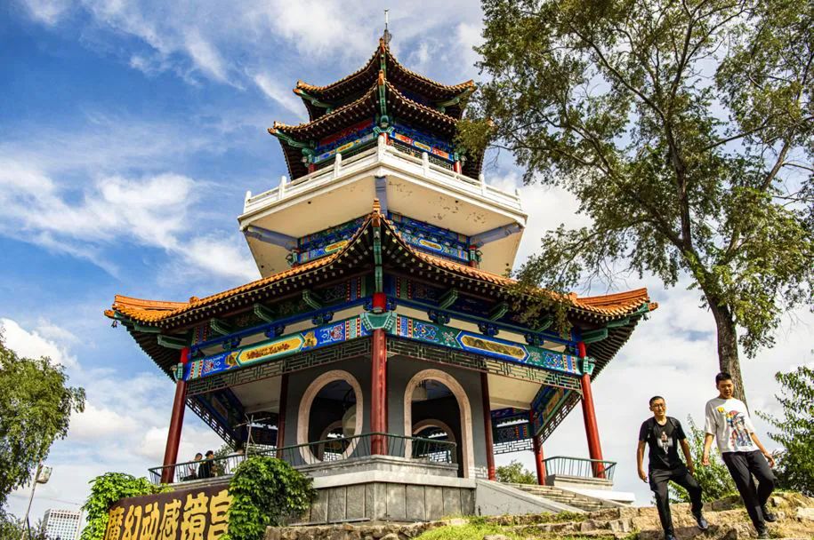 仙鹤起舞水粉画,仙鹤起舞展翅飞