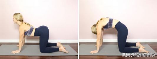 背部紧张练哪些瑜伽体式,经典练瑜伽轻松缓解背部疼痛技巧