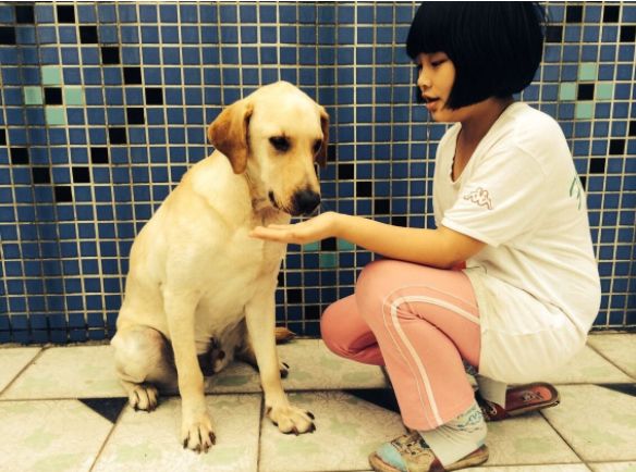 狗狗肾指标高可以吃蛋黄吗,狗狗得肾病能吃蛋黄吗