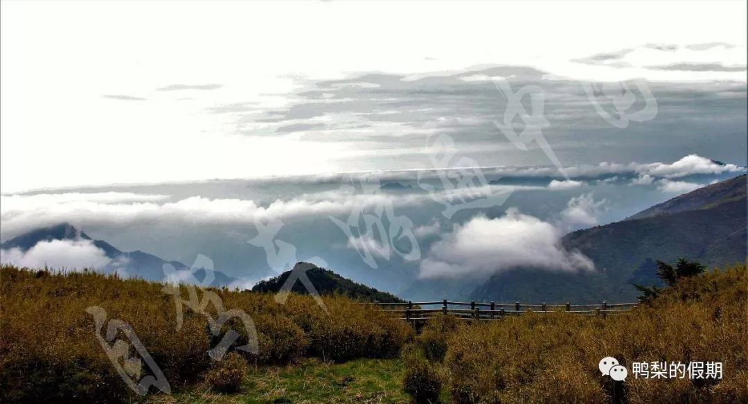 自驾车游遍中国之（一）——世界那么大，我想去神农架