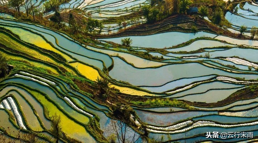 八天七夜云南旅游,八天七夜旅游云南