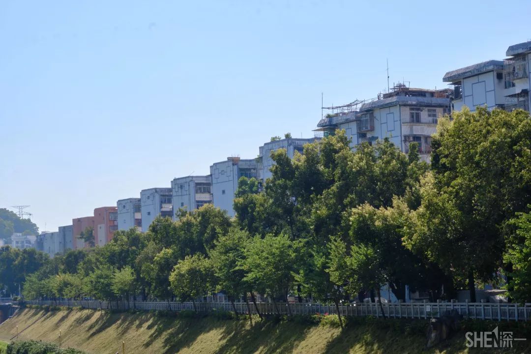 深圳新秀村南区,罗湖区新秀村