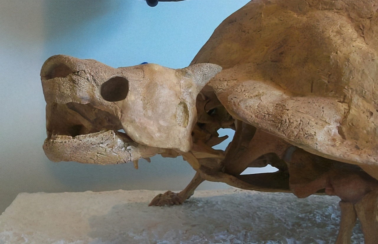 神兽玄武被吃光,人类300年