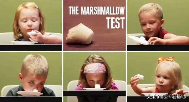 对斯多葛派哲学的看法,对斯多葛派人生观的看法