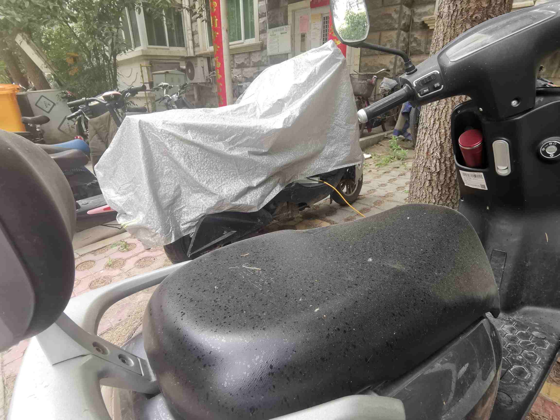 小区车位上漏油导致业主摔伤,小区树木滴油找谁处理