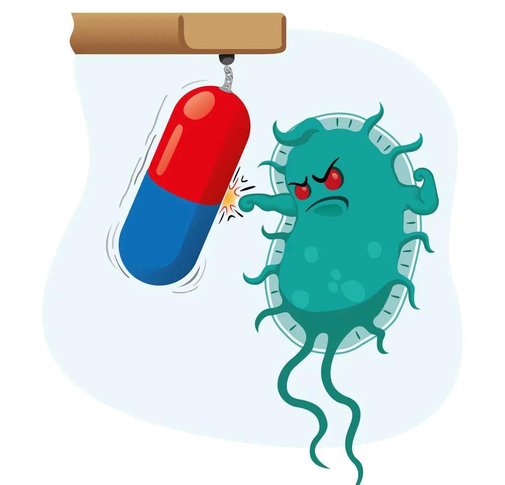 红霉素有中药性质的吗,红霉素有哪些