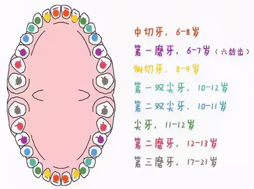 儿童换牙期常见牙齿问题,小朋友换牙新牙已出旧牙没松咋办