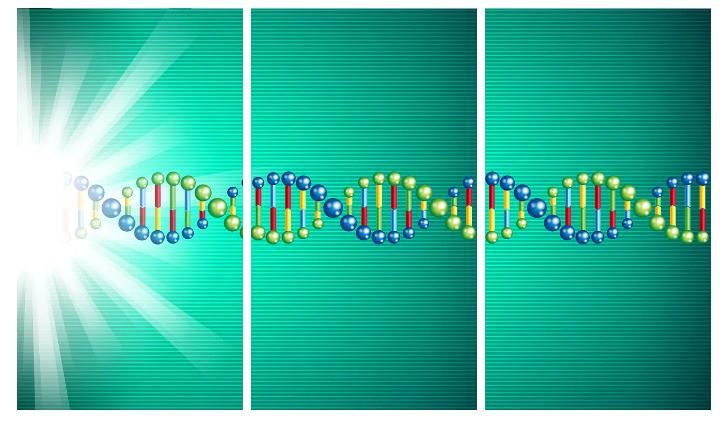 医学前沿:基因治疗概况