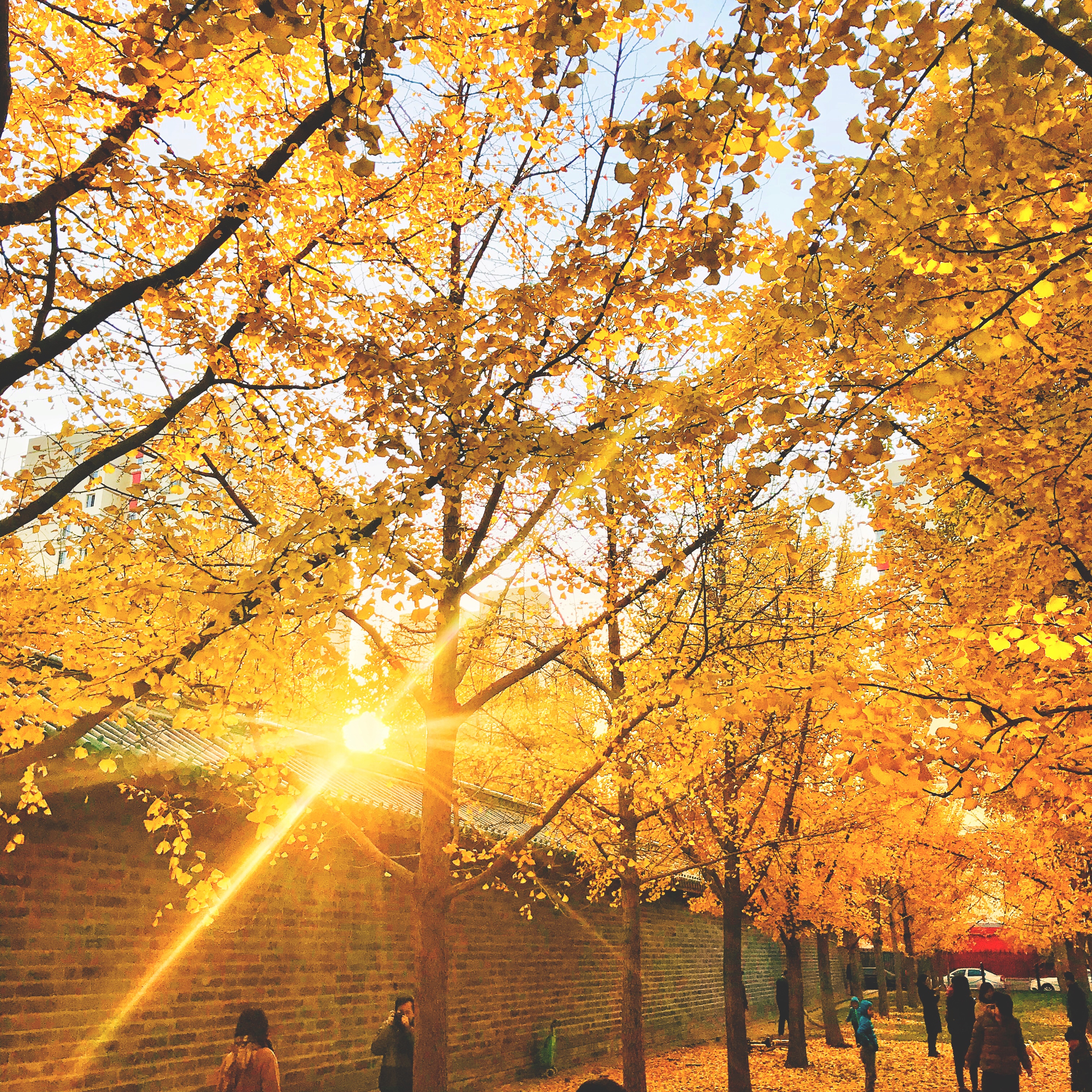 皓哥带你逛南京探店小达人,皓哥带你逛南京