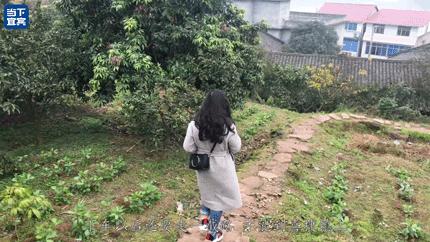 2块钱坐一次轮船,2块钱轮渡游览千亿夜景