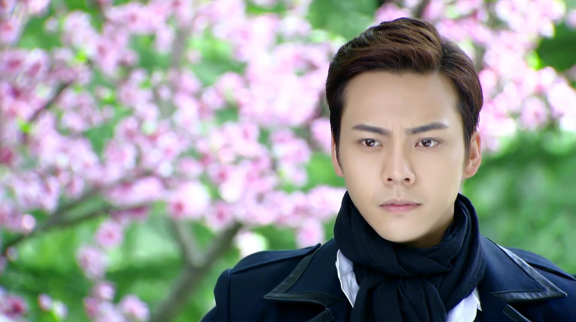 活色生香几几年播出的,活色生香2015