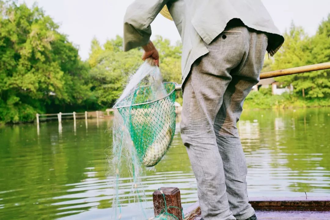 西溪天堂令人沉醉的江南梦境,城市的夜晚江南水乡美如画