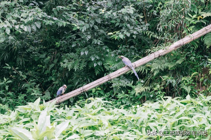 舒适的艺术之城－瓷都（最强景德镇旅游攻略）（二）
