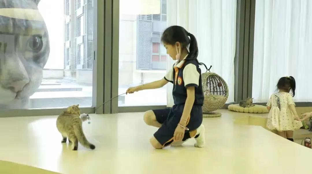 宠物生活馆盘点,北京人气宠物乐园推荐