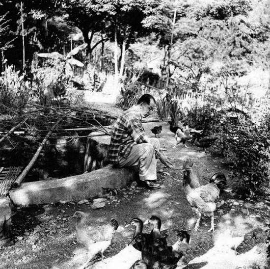 张学良台湾囚禁生活怎样度过的,张学良在台湾囚禁生活怎样度过的