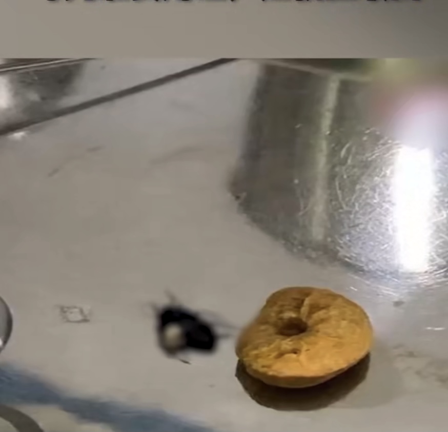 8岁男童在家睡觉耳朵钻进活蟑螂,男童睡觉耳朵钻进活蟑螂全过程