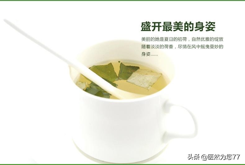 荷叶开得最多最茂盛的地方是哪里,荷叶在哪个地方最好