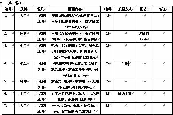 写短视频脚本文案技巧,零基础入门短视频写作