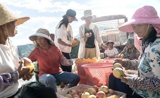 四川女孩辞职回家创业,四川女子大厂辞职卖水果