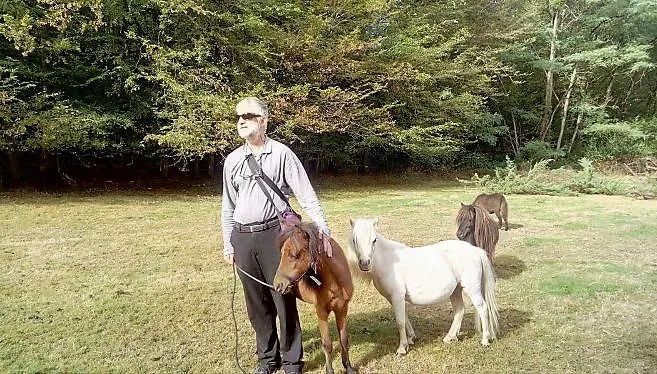 导盲马寿命有多长,导盲马可以看多远