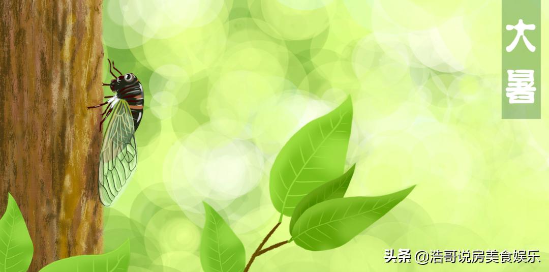 大暑愿你快乐常在,大暑愿你生命中有一场盛夏