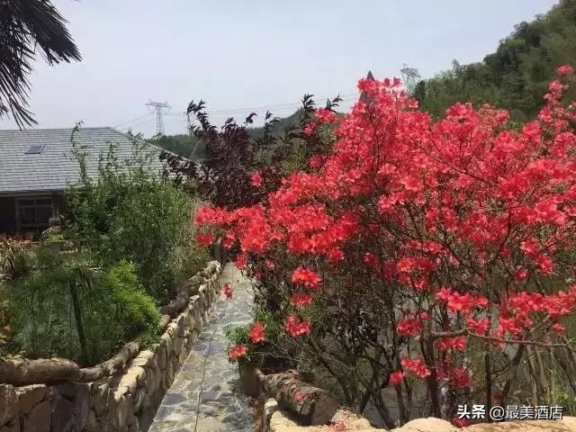 为一姑娘,10年他把30亩荒地打造成梦想家园,让人懂得真爱的意义