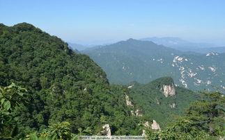 日久见人心上句,日久见人心原唱