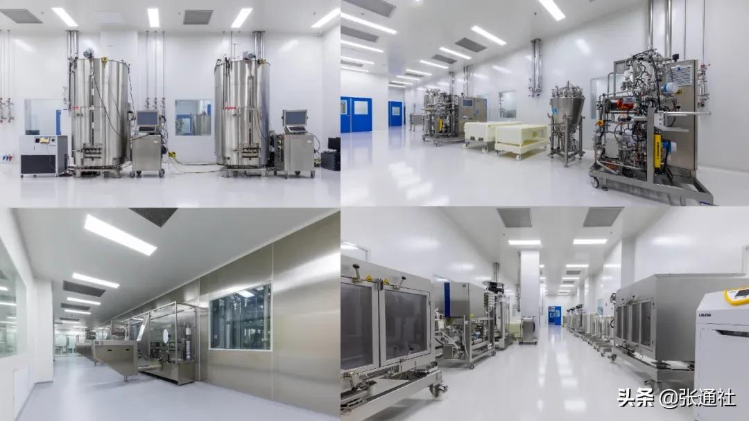 老牌CRO的强势布局升级——一位17年老员工眼中的上海睿智