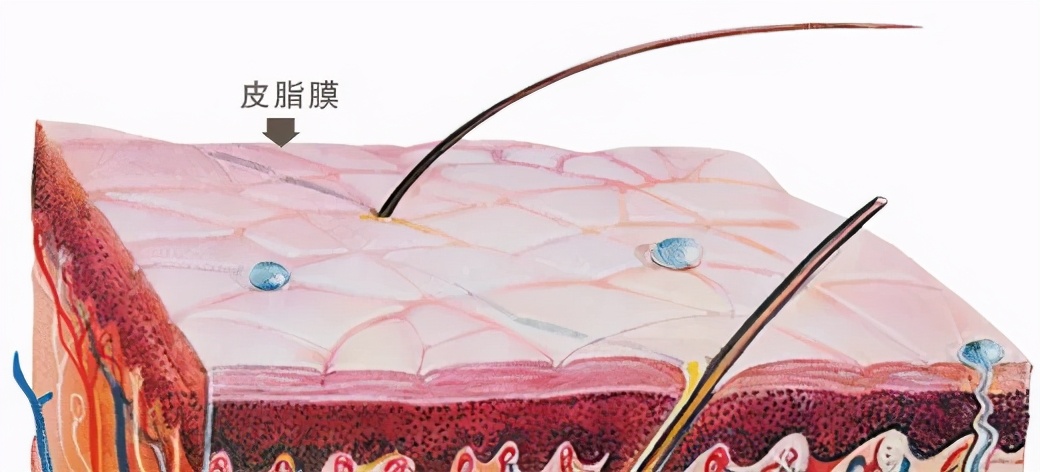 天知地知你知我不知的谜底,天知地知你知我知的下半句典故