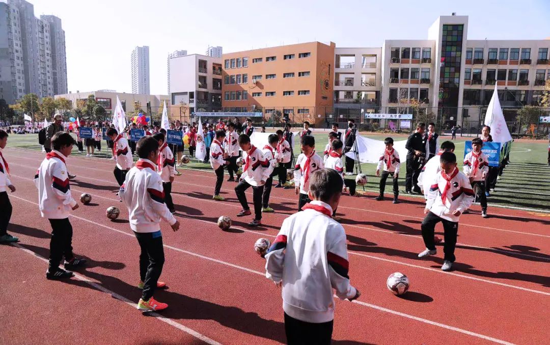 中体协赛事运营方案,中体协跟大体协