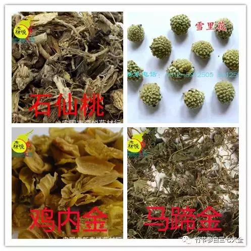 冷背药材名录大全,重楼、金线莲、山慈菇、竹节参、千层塔等