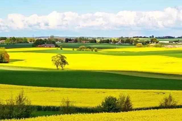 瑞典的高福利,瑞典是高福利国家