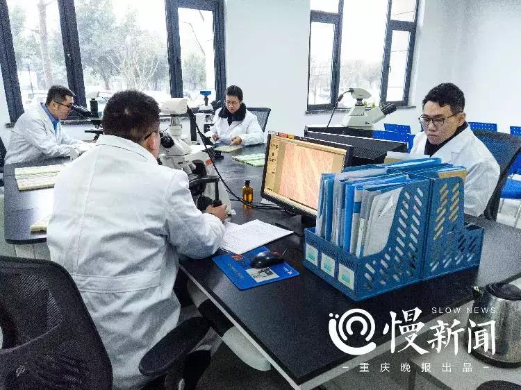 10部好看的法医悬疑电影,2022年度10部好看的法医悬疑电视剧